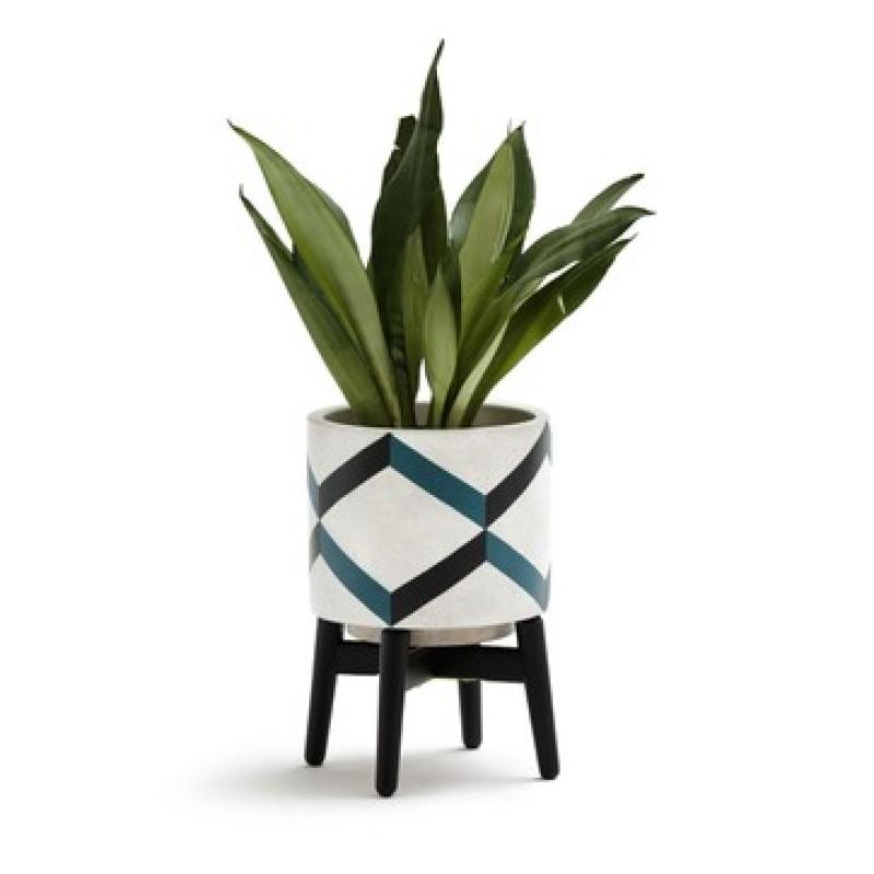 Cache pot design Cache pot design